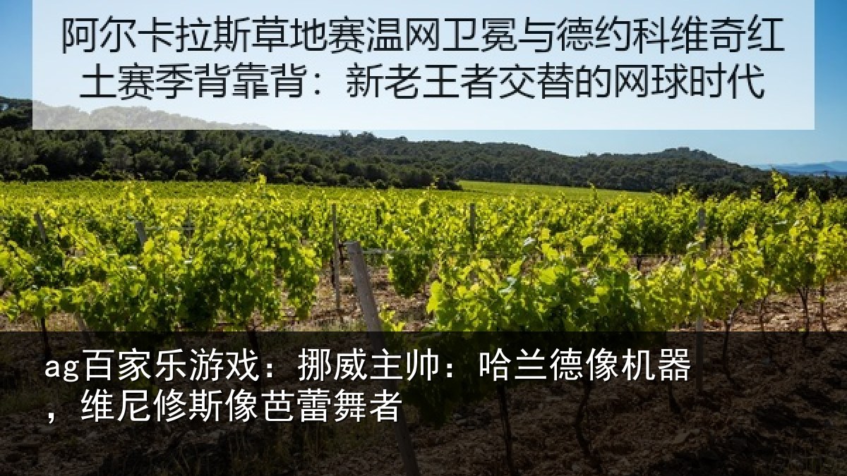 ag百家乐游戏：挪威主帅：哈兰德像机器，维尼修斯像芭蕾舞者