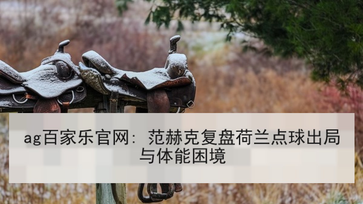 ag百家乐官网: 范赫克复盘荷兰点球出局与体能困境