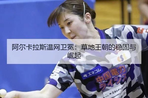 a-er-ka-la-si-wen-wang-wei-mian-cao-di-wang-chao-de-wen-gu-yu-jue-qi-3-549.jpg