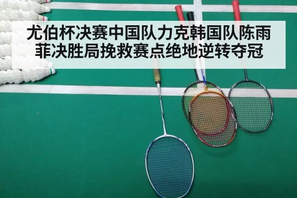 尤伯杯决赛中国队力克韩国队陈雨菲决胜局挽救赛点绝地逆转夺冠