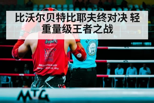 比沃尔贝特比耶夫终对决 轻重量级王者之战